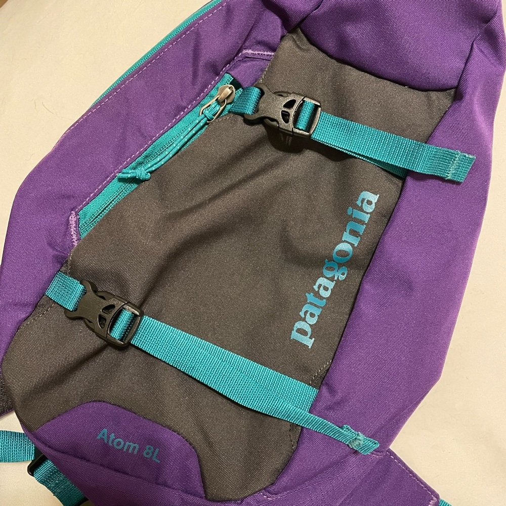 Patagonia sling bag